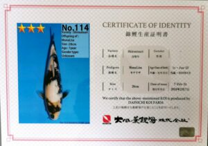 Dainichi 114 certificat