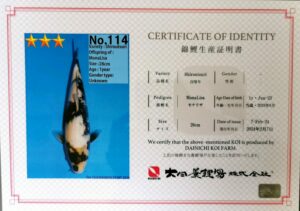 Dainichi 114 certificat