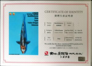 Dainichi 1202 certificat