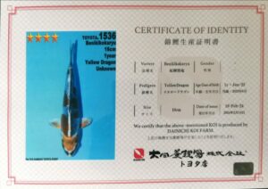 Dainichi 1536 certificat