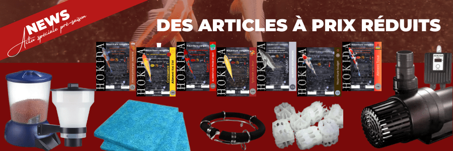 France Carpe Koi Bassin Promos pré saison-min
