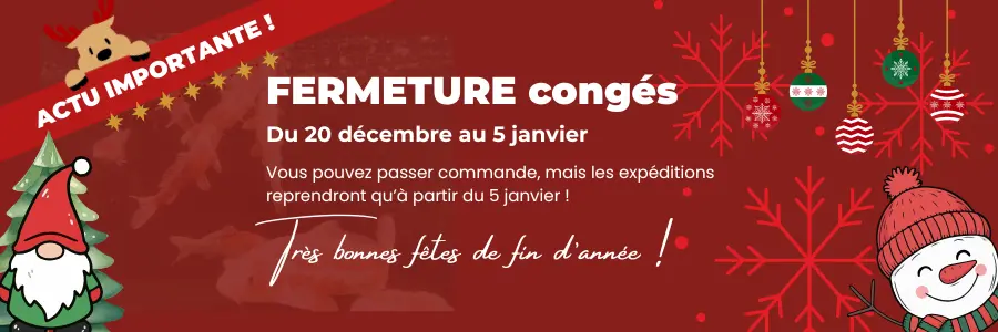 France Carpe Koi Bassin Congés Hiver 2025 banniere