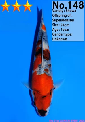 Dainichi 148 showa tosai