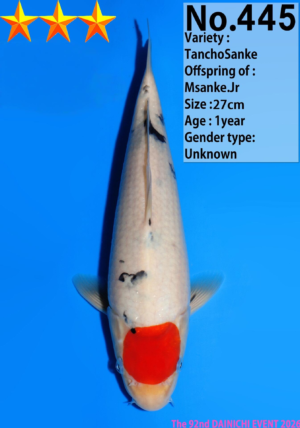 Dainichi-445-tancho-sanke-tosai