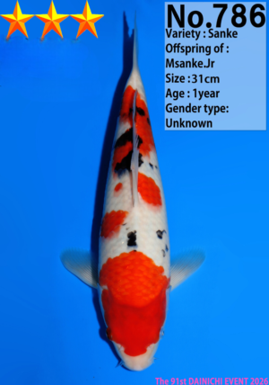 Dainichi 786 tosai sanke