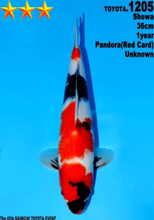 Dainichi Toyota 1205