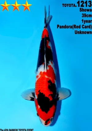 Dainichi Toyota showa 1228