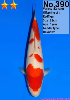 Dainichi tosai kohaku 390