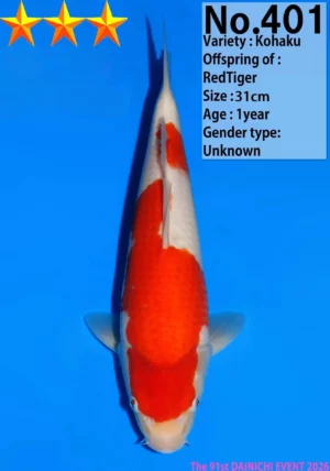 Dainichi tosai kohaku 401