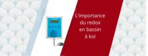 Le redox en bassin à koi