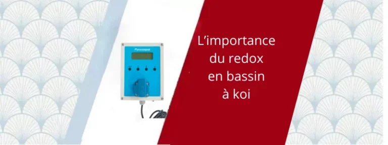 Le redox en bassin à koi
