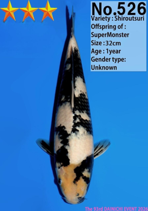 Dainichi 526_32cm_SuperMonster_