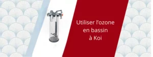 Ozone dans bassin à koi