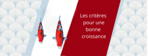 réussir une bonne croissance de vos koi