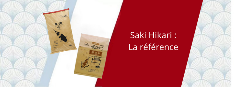 Saki Hikari la référence