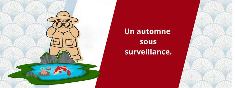 Un automne sous surveillance